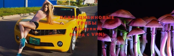 дмт Алзамай