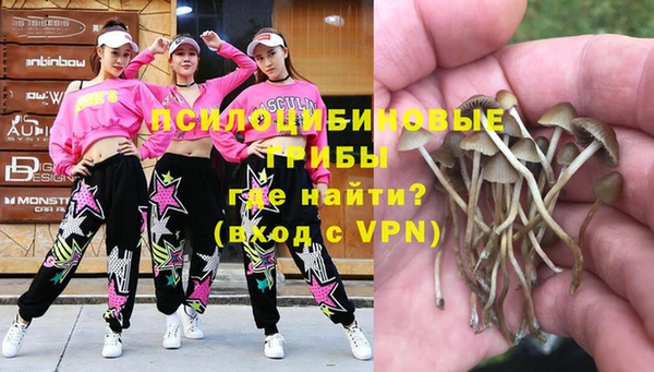 крисы Абинск