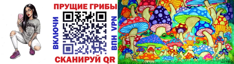 где найти   Дятьково  Галлюциногенные грибы Magic Shrooms 