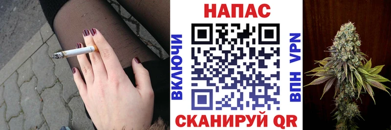 Каннабис сатива  где найти наркотики  Дятьково 